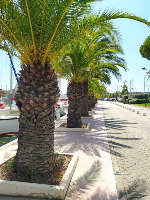 Apartment Joli Avec Grande Et Belle Terrasse, Au Pied De La Du Grazel! Gruissan